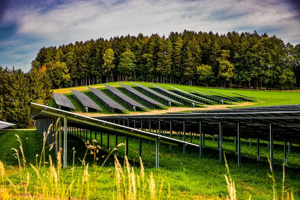Der Solarpark Zweikirchen vom Boden aus fotografiert: Ein grünes Feld mit Solarmodulen und einem blauen Himmel ist sichtbar. Im Hintergrund ist ein Wald zu sehen.
